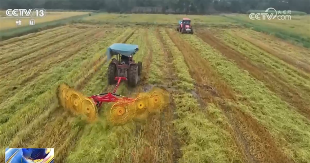 金秋十月“丰”景如画​ 机械化提质增效奏响现代农业“奋进曲”(图9)