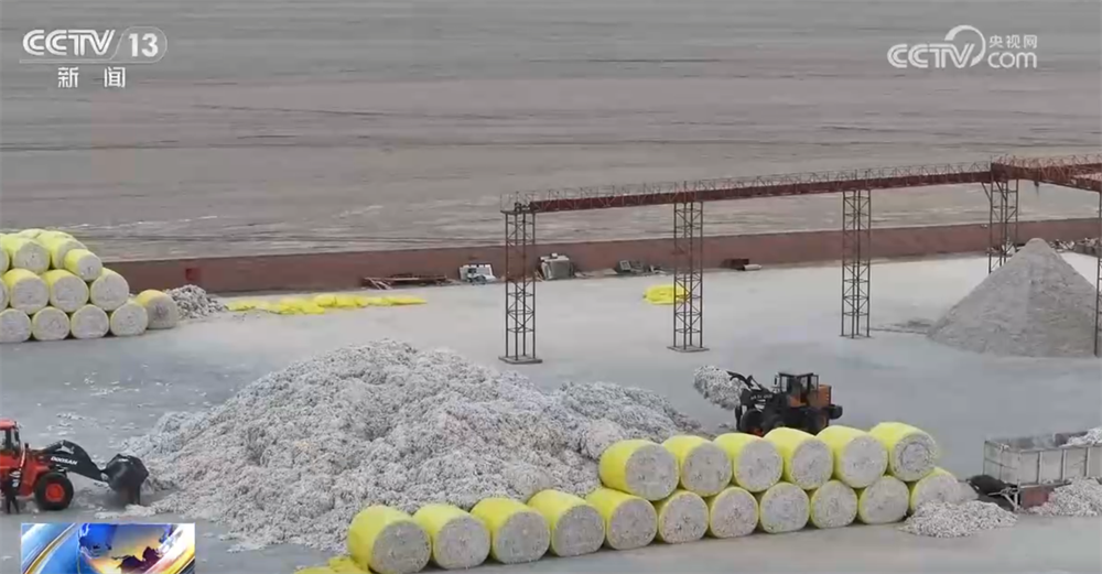 金秋十月“丰”景如画​ 机械化提质增效奏响现代农业“奋进曲”(图12)