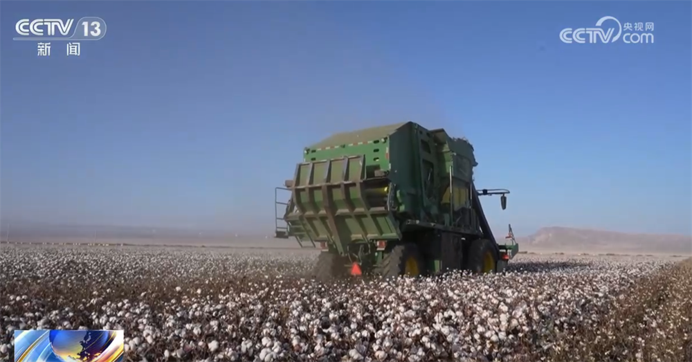 金秋十月“丰”景如画​ 机械化提质增效奏响现代农业“奋进曲”(图11)