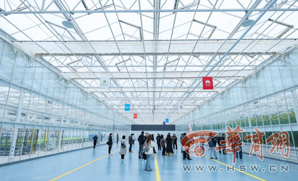 解码杨凌农科城创新实践丨杨凌智慧农业示范园：物联网+AI巡检 科技绘就农业“未来图景”