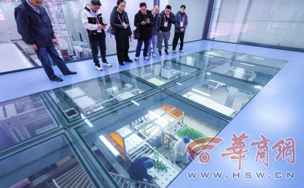 解码杨凌农科城创新实践丨杨凌智慧农业示范园：物联网+AI巡检 科技绘就农业“未来图景”(图4)