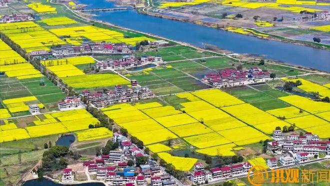 南昌“十四五”：农业农村工作稳中有进、持续向好(图3)