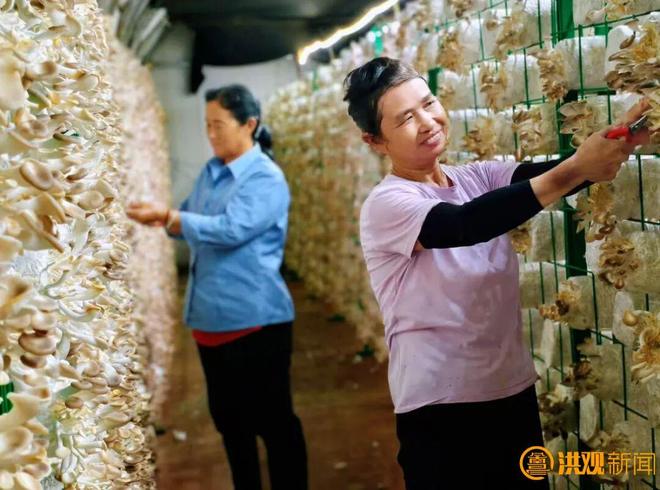 南昌“十四五”：农业农村工作稳中有进、持续向好(图11)