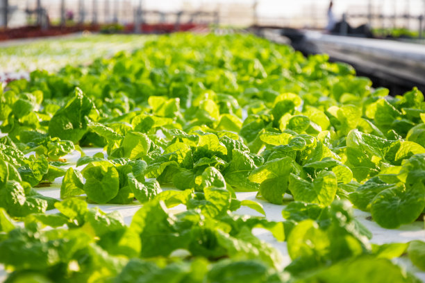 亚欧大河对话共探流域可持续发展新路径