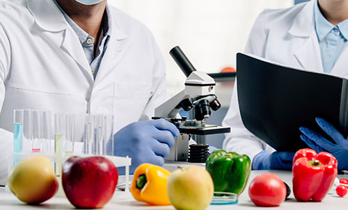 2024食品工业创新发展报告