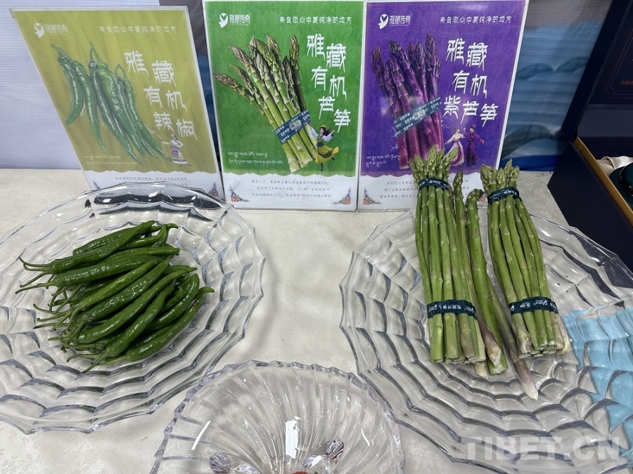 【牢记嘱托 共建美丽新西藏】雅江畔书写“芦笋传奇”：湘商扎根西藏打造高原有机农业样板(图3)