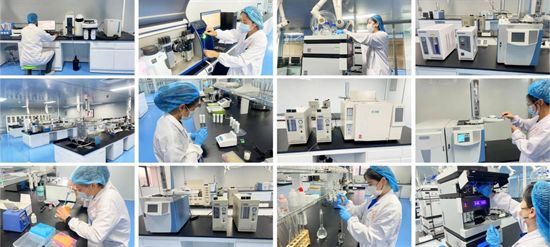 台艳杰：从销售一线到行业领航者中国食品专访那拉集团掌舵人(图3)