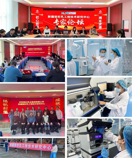 台艳杰：从销售一线到行业领航者中国食品专访那拉集团掌舵人(图6)