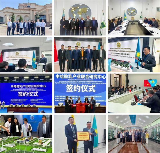 台艳杰：从销售一线到行业领航者中国食品专访那拉集团掌舵人(图7)