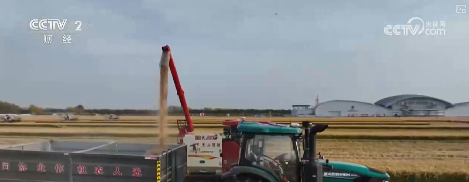 中国饭碗如何端得更牢？以怎样面貌迈向农业农村现代化？