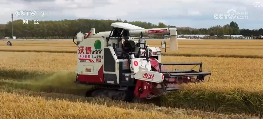 中国饭碗如何端得更牢？以怎样面貌迈向农业农村现代化？(图2)