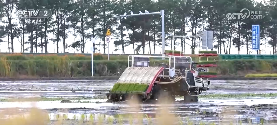 中国饭碗如何端得更牢？以怎样面貌迈向农业农村现代化？(图7)