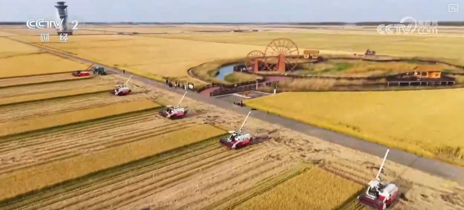 中国饭碗如何端得更牢？以怎样面貌迈向农业农村现代化？(图9)