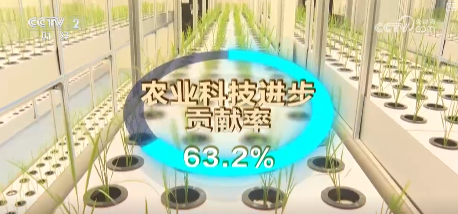 中国饭碗如何端得更牢？以怎样面貌迈向农业农村现代化？(图16)