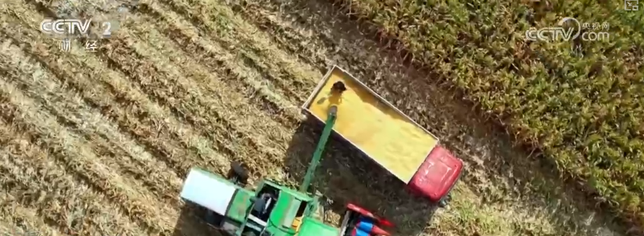 中国饭碗如何端得更牢？以怎样面貌迈向农业农村现代化？(图17)