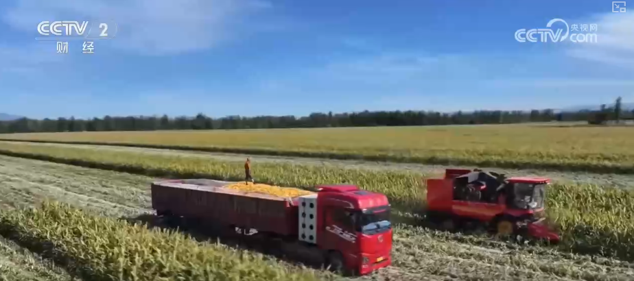中国饭碗如何端得更牢？以怎样面貌迈向农业农村现代化？(图19)