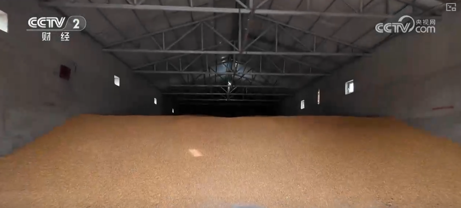 中国饭碗如何端得更牢？以怎样面貌迈向农业农村现代化？(图18)