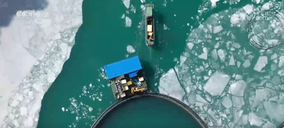 中国饭碗如何端得更牢？以怎样面貌迈向农业农村现代化？(图20)