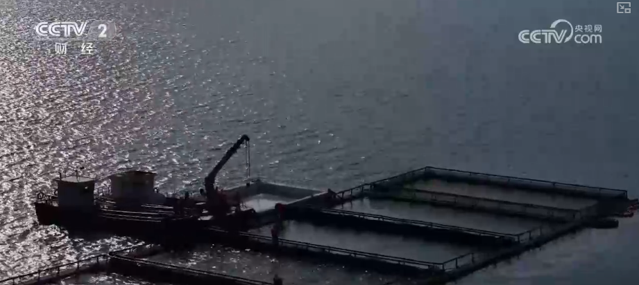 中国饭碗如何端得更牢？以怎样面貌迈向农业农村现代化？(图22)