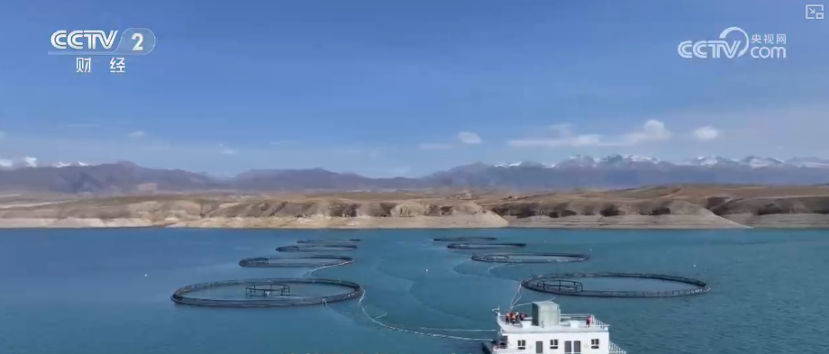 中国饭碗如何端得更牢？以怎样面貌迈向农业农村现代化？(图24)