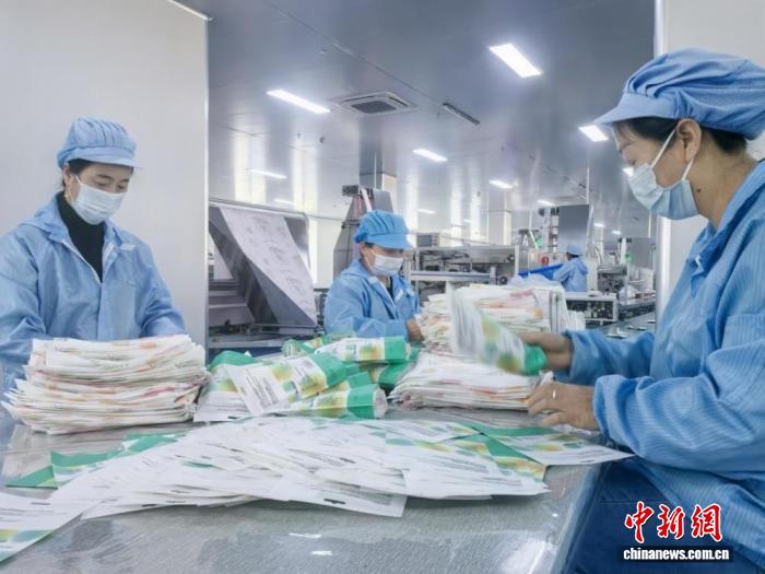 江苏睢宁：苏超“流量”变“留量” 政企合力跑出跃升加速度(图2)