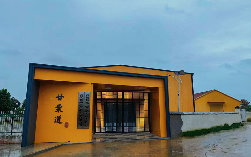 党建聚力 片区联动 武汉长江新区村集体经济“破茧成蝶”