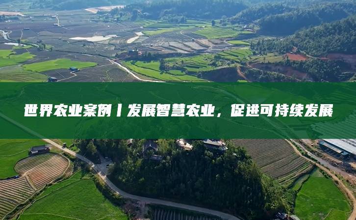 建设绿色未来的共同选择（国际论坛）