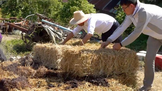 全球连线｜中国技术帮助泰国实现秸秆绿色“变身”(图3)