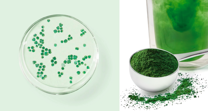 糖水甜品代工厂家恒源健康(厦门)食品科技有限公司部分可定制碗型