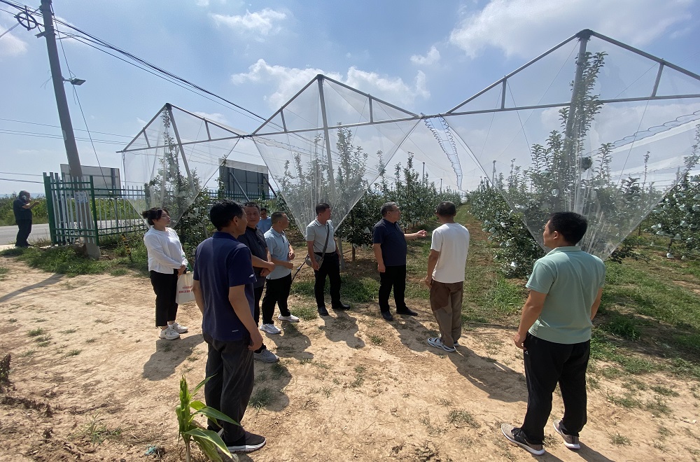 2025年吉飒论坛海口召开 探讨农业可持续发展