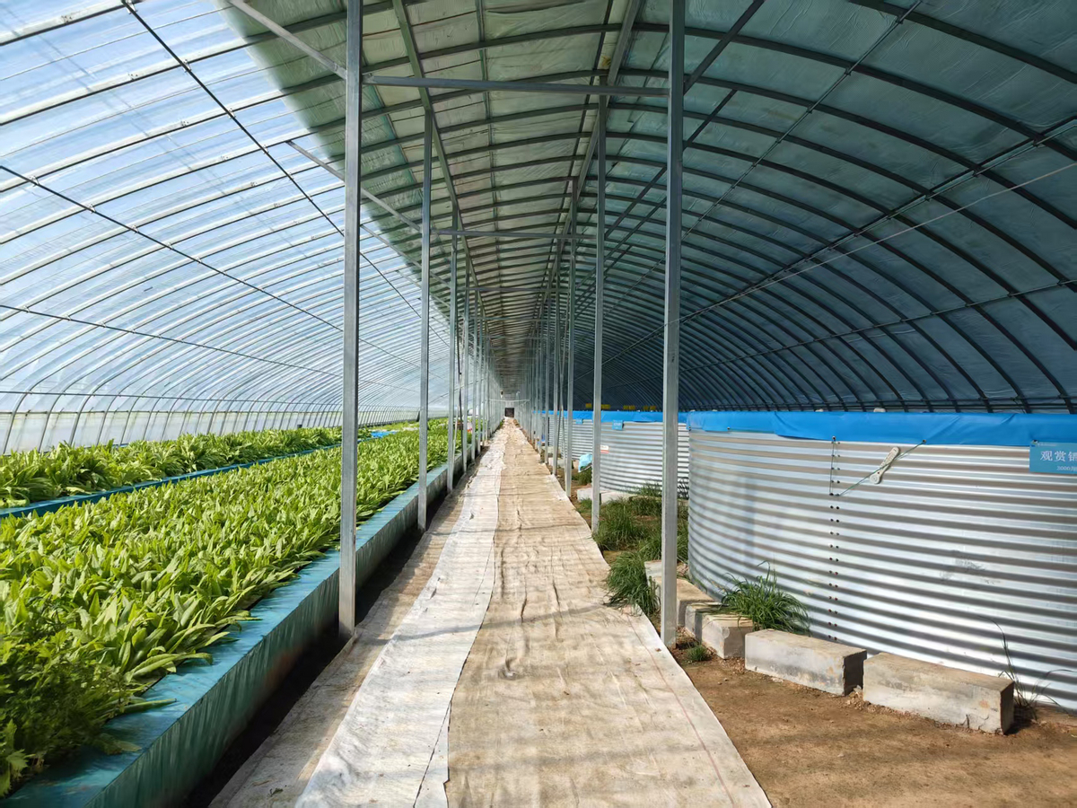 奋进的张家口 “十四五”答卷｜向“新”提质“智”引未来张家口科技创新引领产业全面升级(图2)