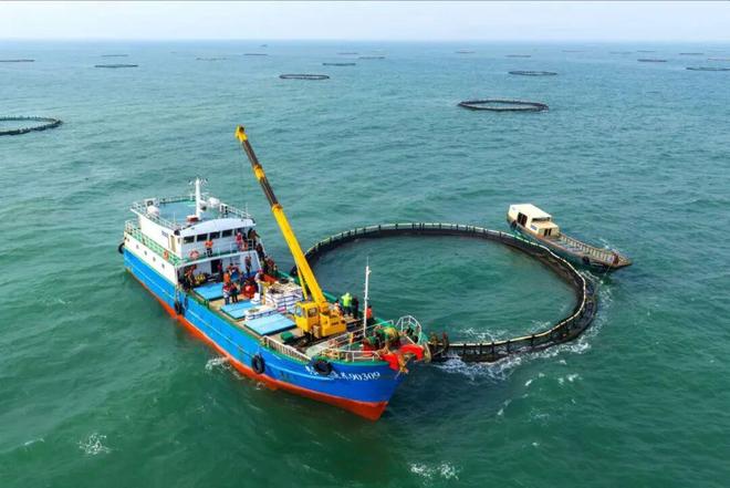 海丝路上的蓝色粮仓 大食物观的阳江实践 2025年丝绸之路电视共同体高峰论坛特别报道(图9)