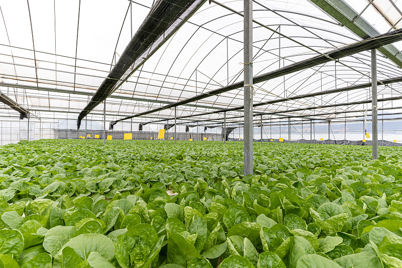 科研铸剑 守护京城沃土