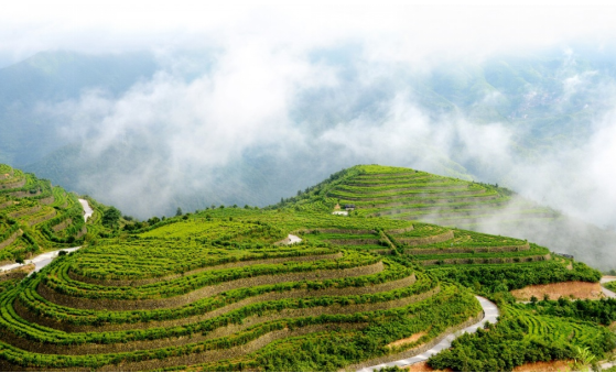 div data=datasource：20230919568f87ed9f16430c9c546efd517d4402 type=content(图5)