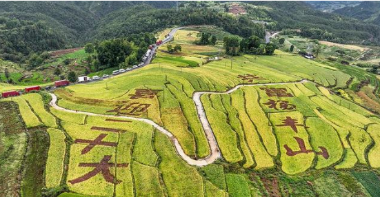 div data=datasource：20230919568f87ed9f16430c9c546efd517d4402