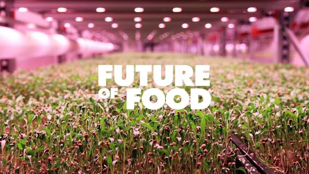 黄淮平原农业高质高效发展暨2025河南现代农业与未来食品研究会年会在我市举行