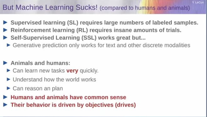 图灵奖得主LeCun最后警告Meta！我搞了40年AI大模型是死路(图11)
