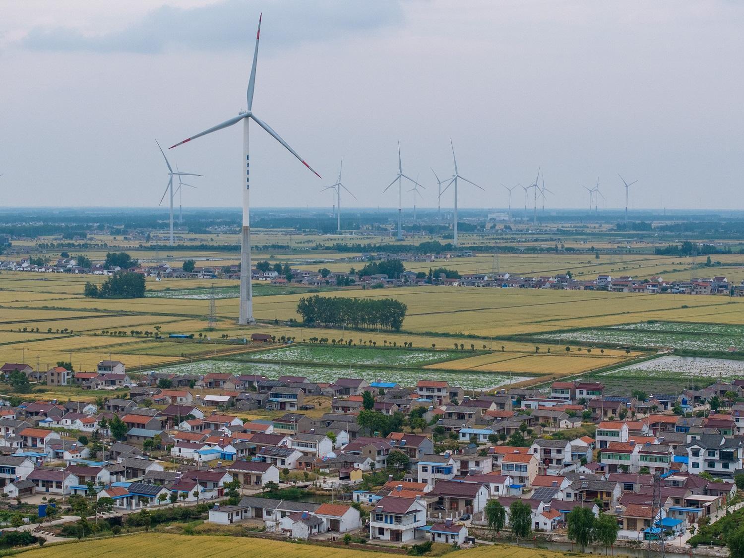 《科学》杂志评出2025年度十大突破中国引领全球可再生能源发展居榜首