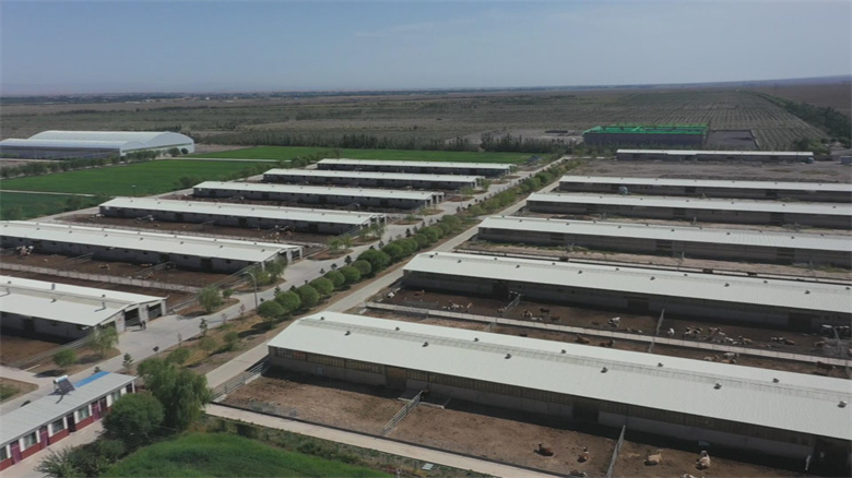 做好农业气候区划应对全球变暖“烤”验