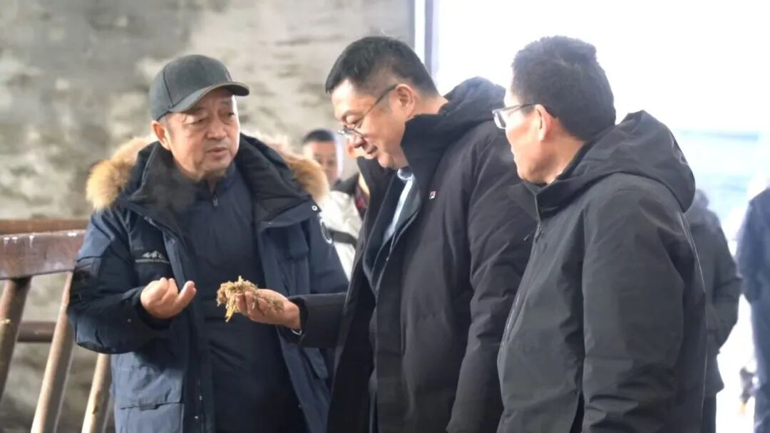 乌鲁木齐市米东区人民政府