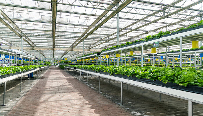 酒讯智库｜五粮液ESG打开传统产业与国际标准的“对话框”