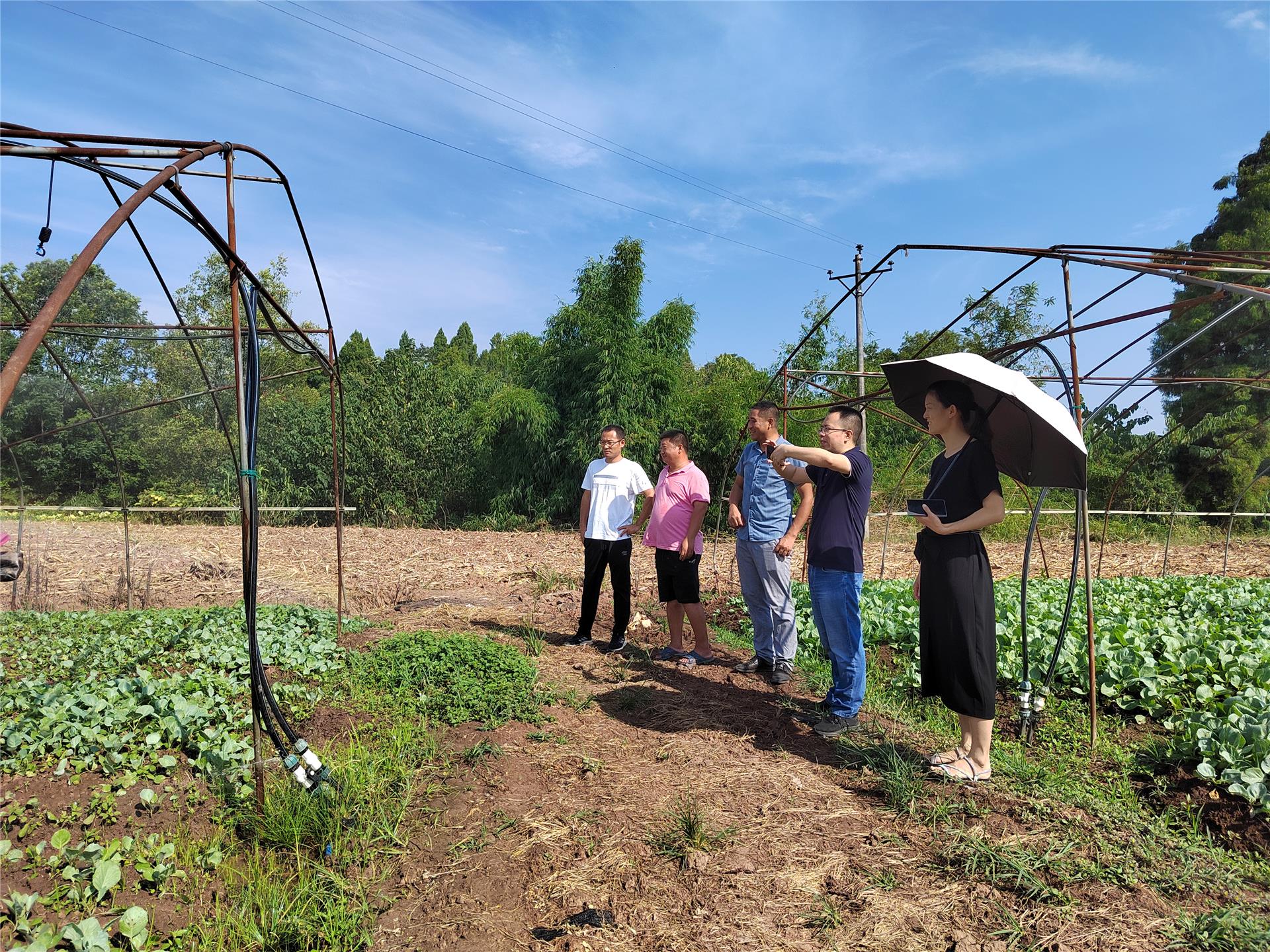 设施农业：传统小农经济的终结与转型——“半温控生态农业”正在突破