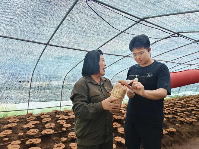 啥是“四大员”？七万学子下乡竟是为了它？(图4)