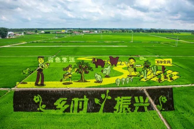 啥是“四大员”？七万学子下乡竟是为了它？