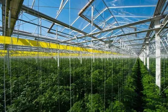 元创股份：公司产品未应用于商业航天主要应用于农业生产、工程施工等不同领域