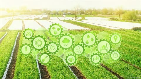 宁夏贺兰山东麓葡萄文化系统入选中国重要农业文化遗产候选项目