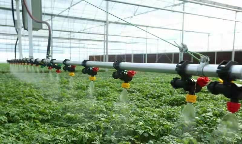 中国模式助力全球农业绿色转型