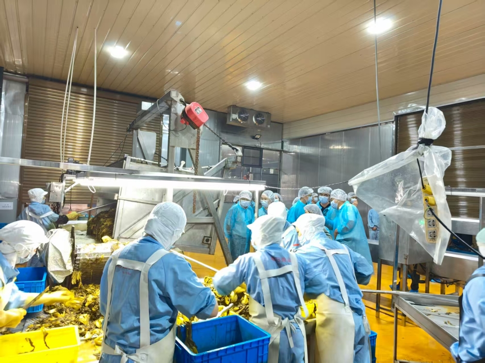 2026年食品饮料加工行业深度研究分析