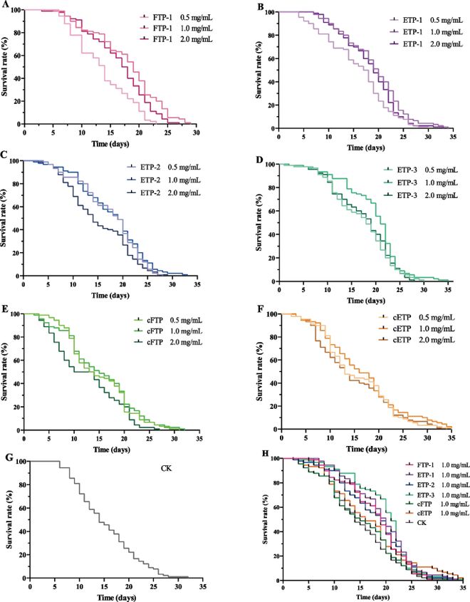 APPS 银耳子实体多糖vs银耳芽孢多糖：谁才是抗光老化的“王者”