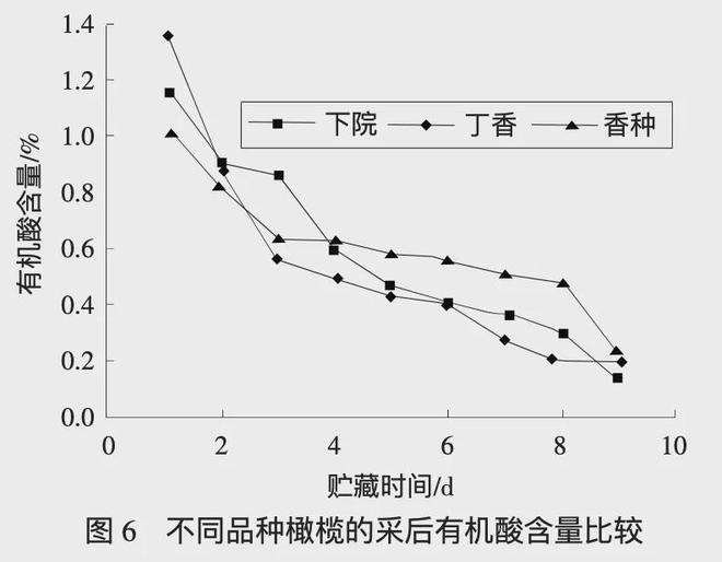 这颗秋冬季的“宝藏之果”抗炎又通便！吃过的人却很少！(图6)